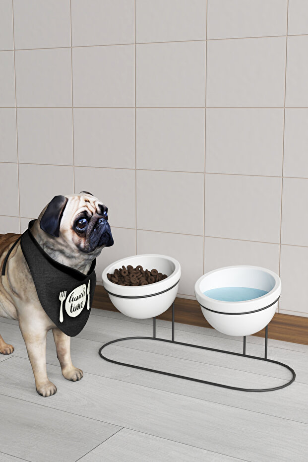 Ceramic Pet Bowl Set of 2 with Metal Stand